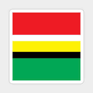 Guyana Color Block National Colors Magnet