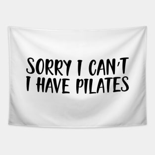 Pilate - Sorry I  can't I have pilates Tapestry