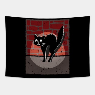 Funny cat in the dark Tapestry