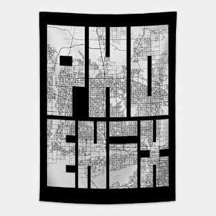 Phoenix, Arizona, USA City Map Typography - Light Tapestry