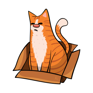 Ginger Cat in a Box T-Shirt