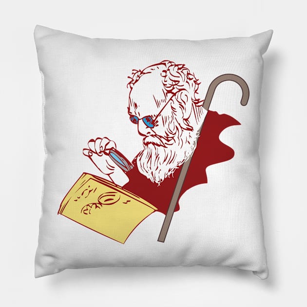 Periyar Tamil Leader Pride Rationalist Reading Chennai Pillow by alltheprints