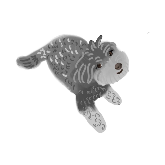 Cute Grey Color Maltipoo Dog by PatternbyNOK