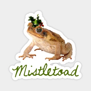 Mistletoad Magnet