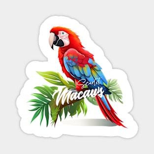 Scarlet Macaws Magnet