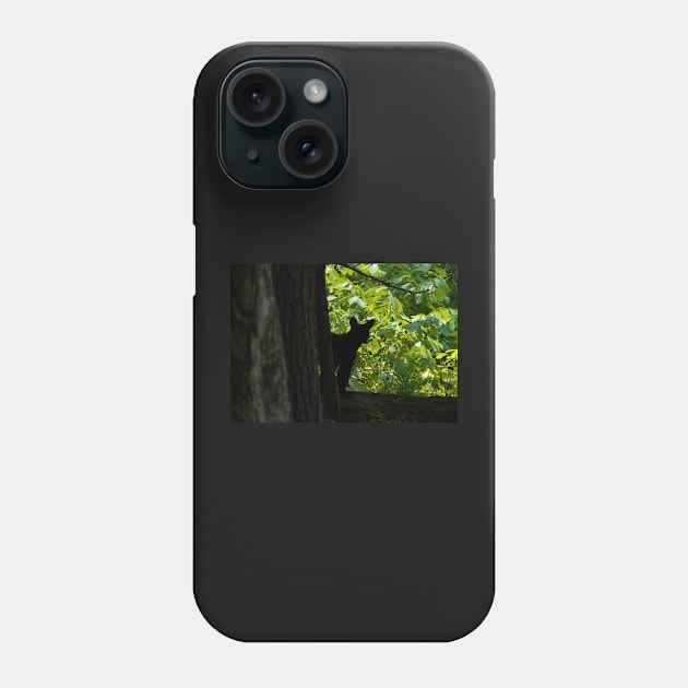 Wilderness Cub Phone Case by dltphoto