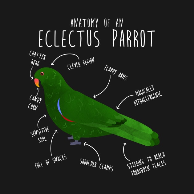 Male Eclectus Anatomy by Psitta