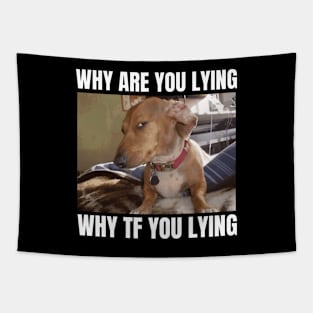 Why Are You Lying Funny Dog Meme Tapestry