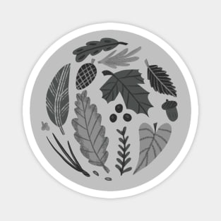 Monochromatic Leaves and Pine Cones Magnet