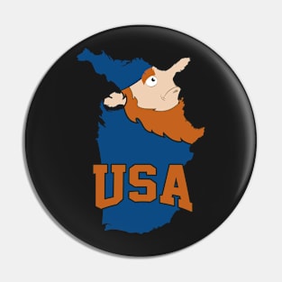 USA: a Funny Map Pin