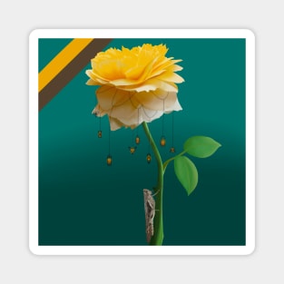 Yellow Rose and Brown Locust Magnet