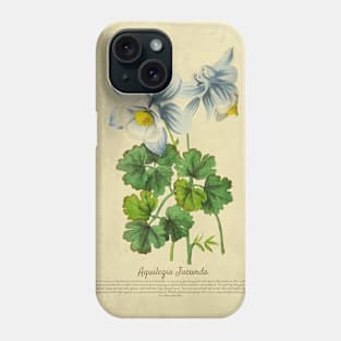 Aquilegia Jucunda With Details Phone Case