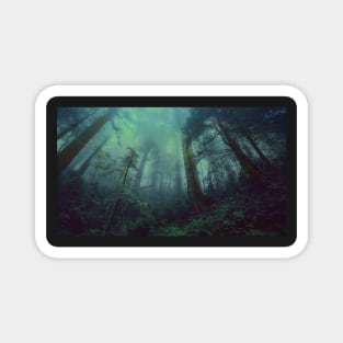 blue green forest Magnet