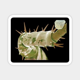 Alien Scary Creature Sci fi Magnet