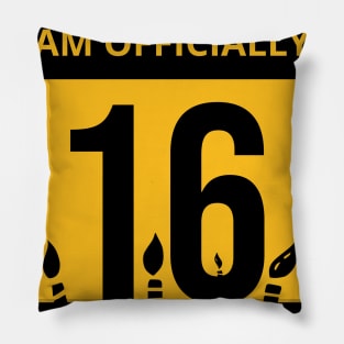 16th Birthday Officially a Quaranteen teenager 16 Years Old Pillow