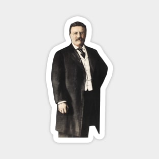 Theodore Roosevelt - The President - 1904 Magnet