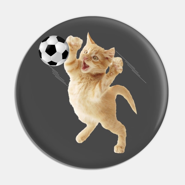 Pin on Gatos