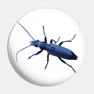 Blue Beetle Wharf Borer Pin