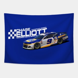 Chase Elliott 2021 Tapestry