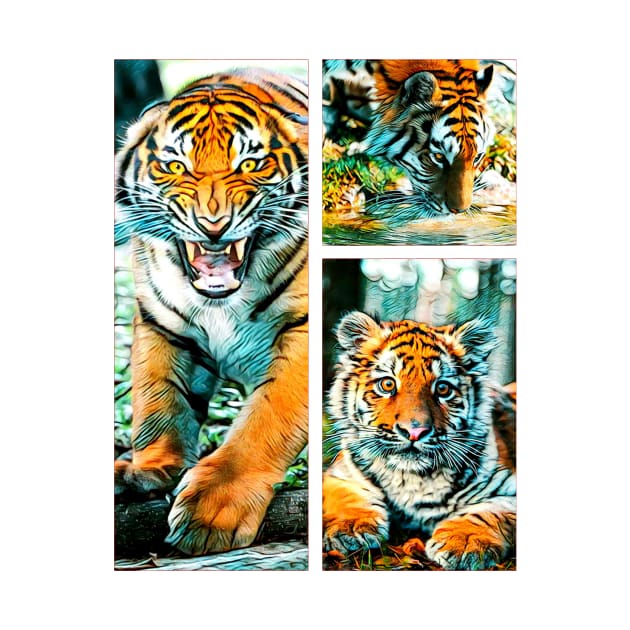 3 Tigers by d1a2n3i4l5