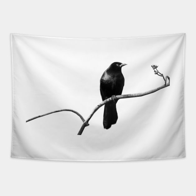 Blackbird Tapestry by LaurieMinor