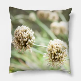 Flower seed balls unique plant Pillow