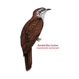 Banded Bay Cuckoo | Cacomantis sonneratii T-Shirt