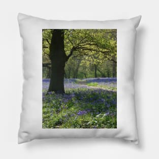 Bluebell Wood Pillow