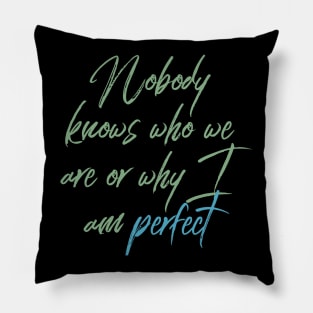 Nobody knows who we are or why I Am Perfect Motivation Inspiration Pillow