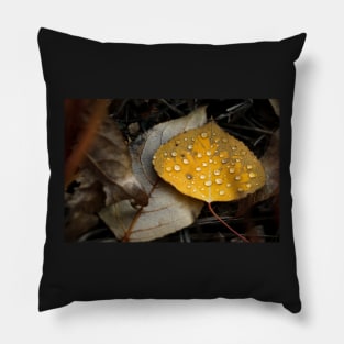 Aspen Fall Leaf Pillow