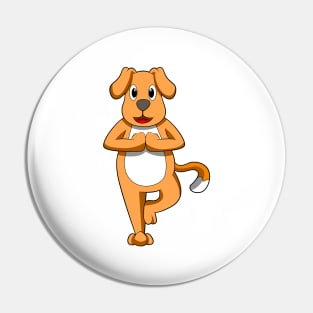 Dog at Yoga Stretching exercises Pin