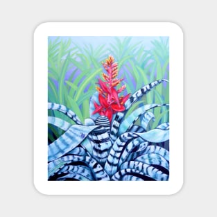 The Bromeliad Harlequin Magnet