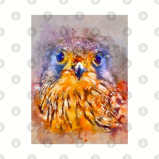 Watercolor Kestrel by danieljanda