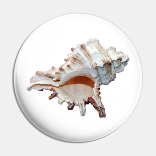 Grand conch seashell Pin