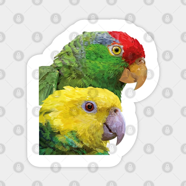 Equal-headed Amazon and Tamaulipeca Amazon Magnet by obscurite