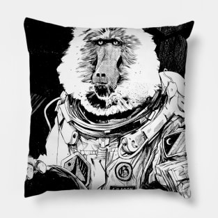 Dr Alfred Bergman Pillow