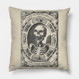 I Used To Have Dreams - Now I Have Memes ∆ Funny Nihilist Statement Design Pillow