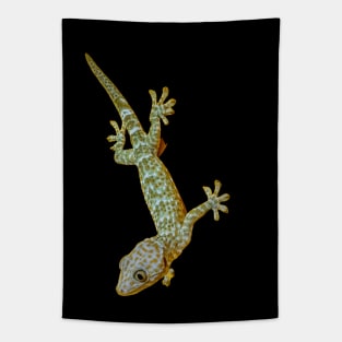 Tokay Gecko Tapestry