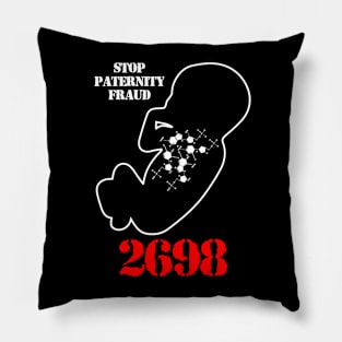 Stop Paternity Fraud - HR 2698 Pillow