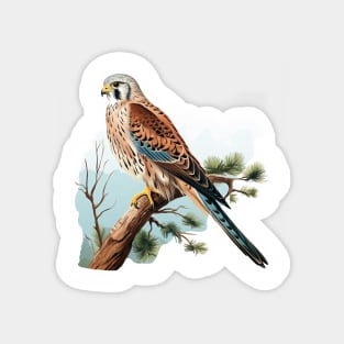 Kestrel Magnet