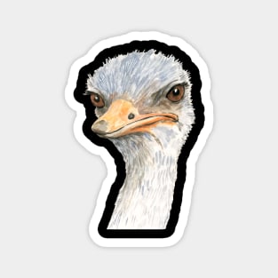 Disapproving Ostrich Magnet