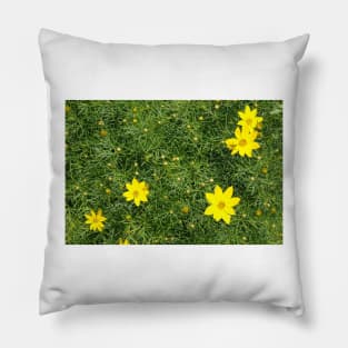 Yellow Flowers in the Park Pillow