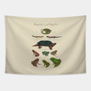 Amphibians and Reptiles Tapestry