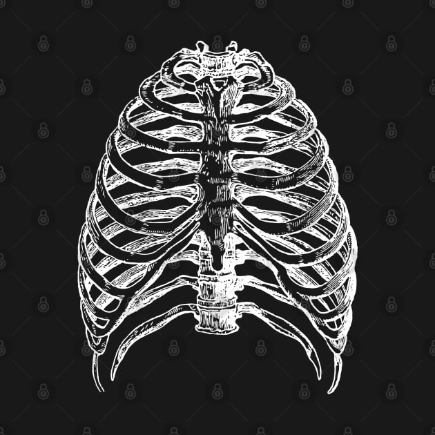 halloween rib cage by alialbadr