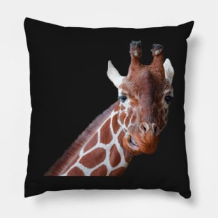 Giraffe Pillow