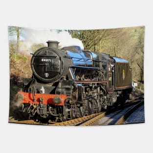 Class 5MT 44871 Tapestry