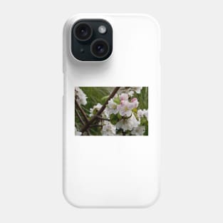 Apple Blossom Time Phone Case