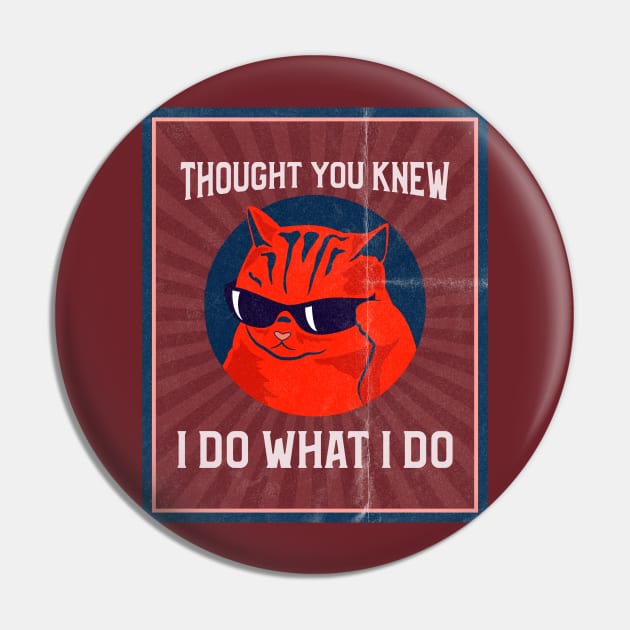 Thought You Knew - I Do What I Do Cat Pin by TJWDraws