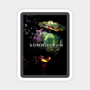 Somniferum Magnet