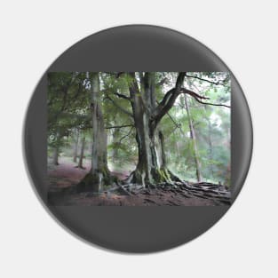 Back Forest Staffordshire. Peak District. Countryside Hiker landscape Pin